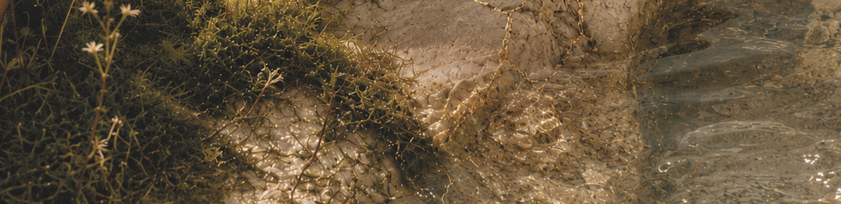 The ALCHEMY of SKINCARE