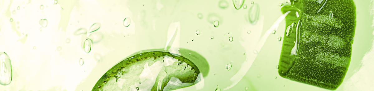 ALOE VERA CARE